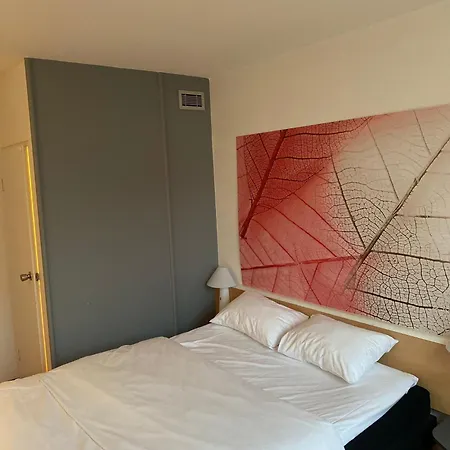 Hotel Ibis 2*