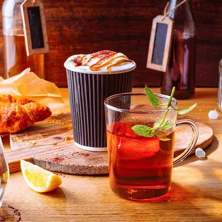 Ibis コブレンツ